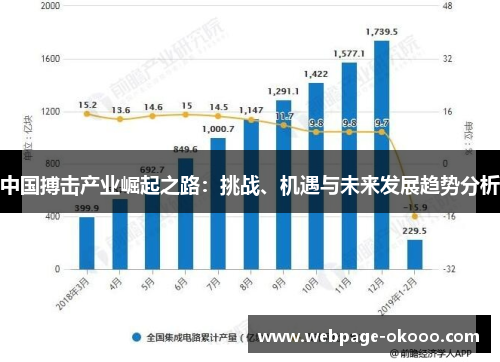 中国搏击产业崛起之路：挑战、机遇与未来发展趋势分析